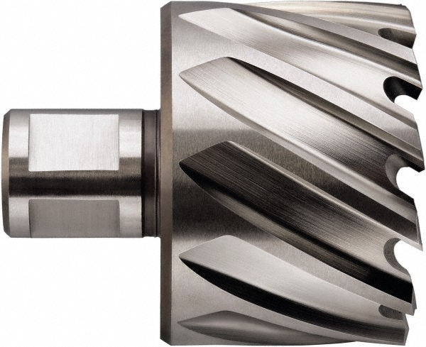 Picture of Fein Power Tools Inc 63134254041 1In X 1In Slugger With Pilot